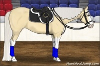 Horse Color:Silver Buckskin Dun Splash