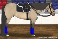 Horse Color:Buckskin Roan Dun