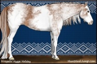 Horse Color:White Spotted Chestnut Splash