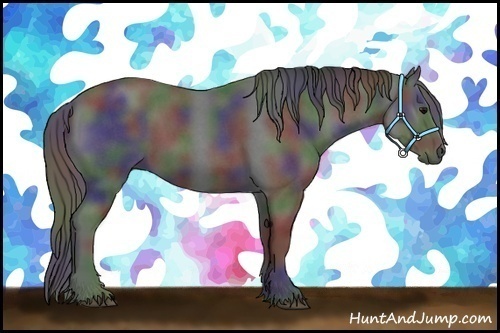 Horse Color:Nacre Blue Roan Rabicano