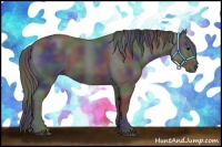 Horse Color:Nacre Blue Roan Rabicano