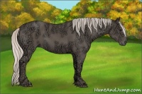Horse Color:Silver Black Ice 