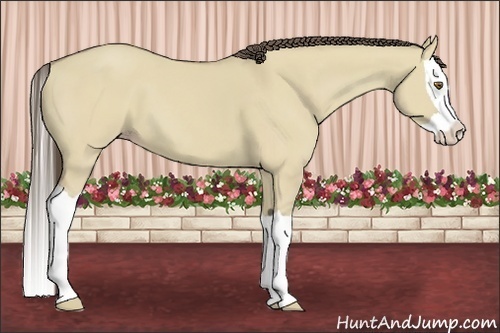 Horse Color:Classic Cream Champagne Dun Splash 