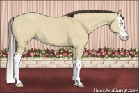 Horse Color:Classic Cream Champagne Dun Splash