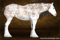 Horse Color:Sable Champagne Ice Splash 