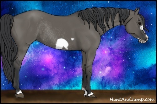 Horse Color:Grullo Frame Rabicano 