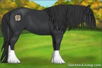 Horse Color:Black Tobiano Rabicano 