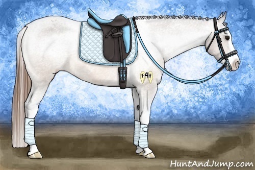 Horse Color:Buckskin Splash Appaloosa