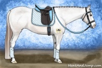 Horse Color:Buckskin Splash Appaloosa 