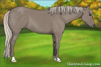 Horse Color:Silver Grullo 