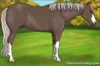 Horse Color:Silver Black 