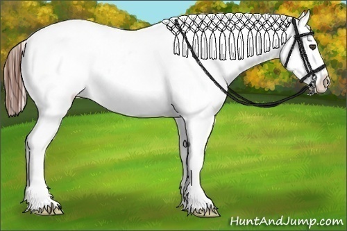 Horse Color:Bay Ice Roan Appaloosa