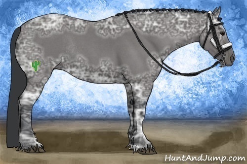 Horse Color:Blue Ice Roan Rabicano