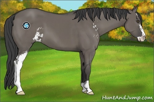 Horse Color:Smoky Grullo Sabino 