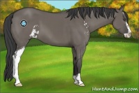 Horse Color:Smoky Grullo Sabino 