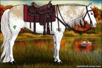 Horse Color:White Spotted Silver Bay Dun Splash 