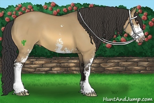 Horse Color:Buckskin Dun Sabino 