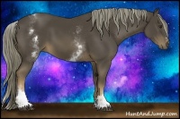 Horse Color:White Spotted Liver Chestnut Sabino 