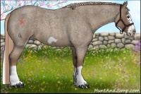 Horse Color:Chocolate Palomino Roan Splash Frame