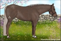Horse Color:Silver Black 