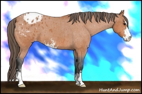 Horse Color:Bay Roan Sabino Varnish 