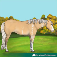 Horse Color:White Spotted Silver Buckskin Dun 