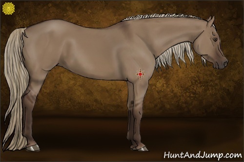 Horse Color:Liver Red Dun