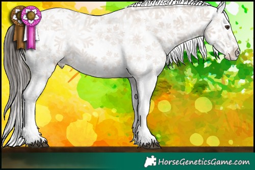 Horse Color:Liver Chestnut Snowflake Varnish