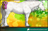 Horse Color:Liver Chestnut Appaloosa 