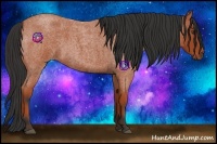 Horse Color:Bay Roan 