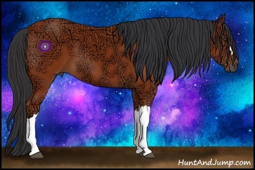 Horse Color:Bay Ice