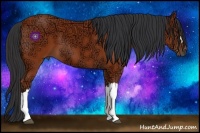 Horse Color:Bay Ice