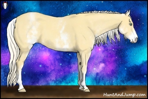Horse Color:White Spotted Gold Cream Champagne 