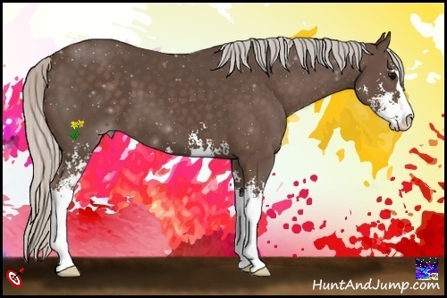 Horse Color:Silver Black Sabino 