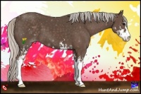 Horse Color:Silver Black Sabino 