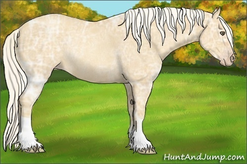 Horse Color:Gold Cream Champagne Ice Roan Rabicano 