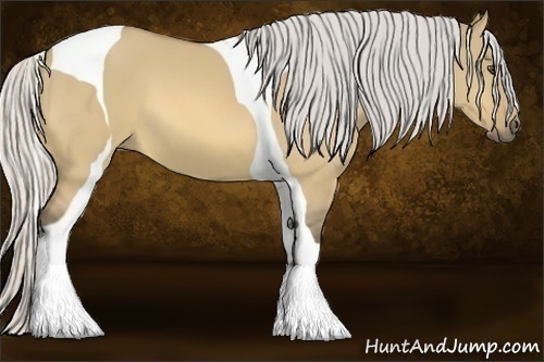 Horse Color:Silver Buckskin Dun Tobiano 