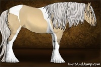 Horse Color:Silver Buckskin Dun Tobiano 