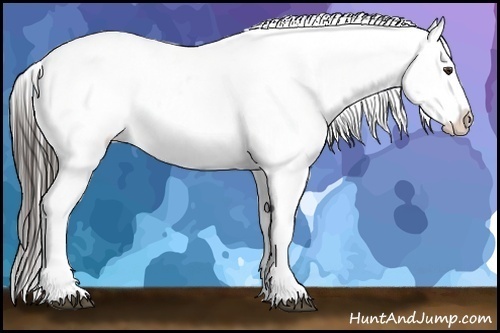 Horse Color:Liver Chestnut Snowcap