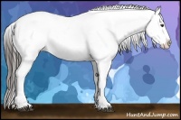 Horse Color:Liver Chestnut Snowcap 
