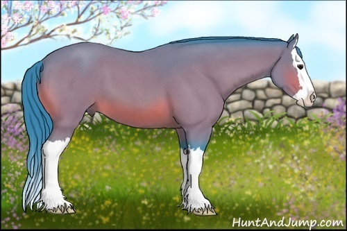 Horse Color:Watercolor Bay Roan Splash