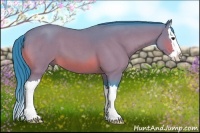 Horse Color:Watercolor Bay Roan Splash