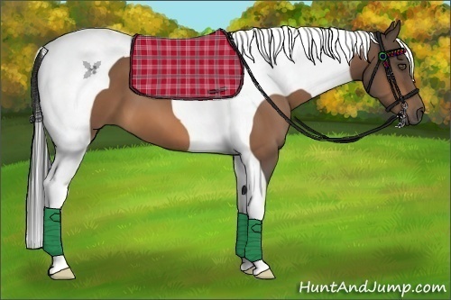 Horse Color:Buckskin Tobiano 