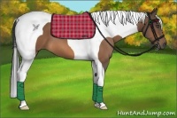 Horse Color:Buckskin Tobiano 