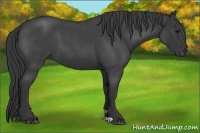 Horse Color:Blue Roan