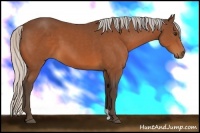 Horse Color:Silver Bay