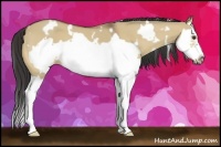 Horse Color:White Spotted Buckskin Dun Splash Frame 