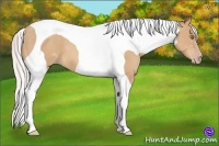 Horse Color:Silver Amber Champagne Tobiano