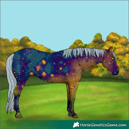 Horse Color:ERROR: UNKNOWN ANOMALY