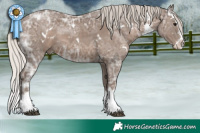 Horse Color:White Spotted Silver Black Ice Sabino Splash